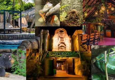 Amazonia tours